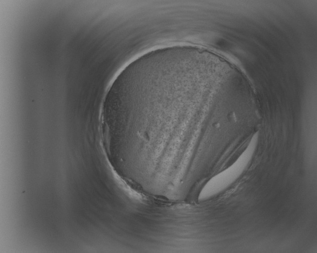 X0000067461524200604211528