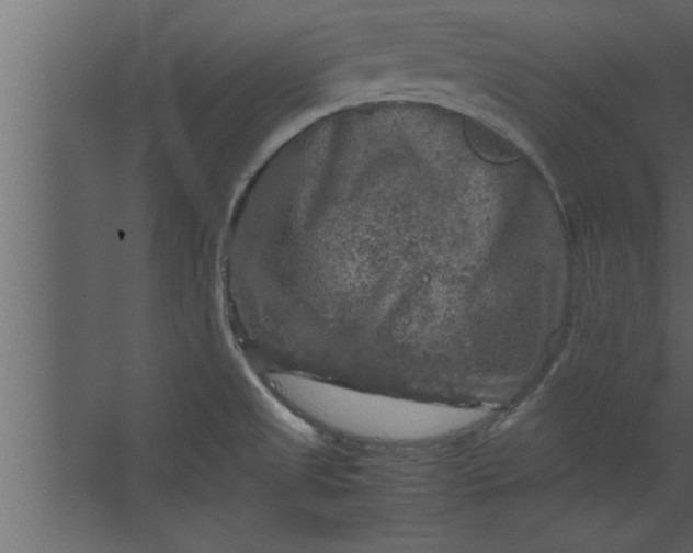 X0000067461525200604211528