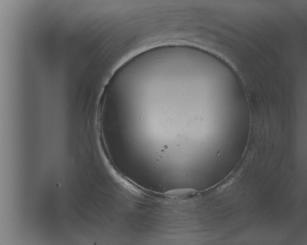 X0000067461526200604211528