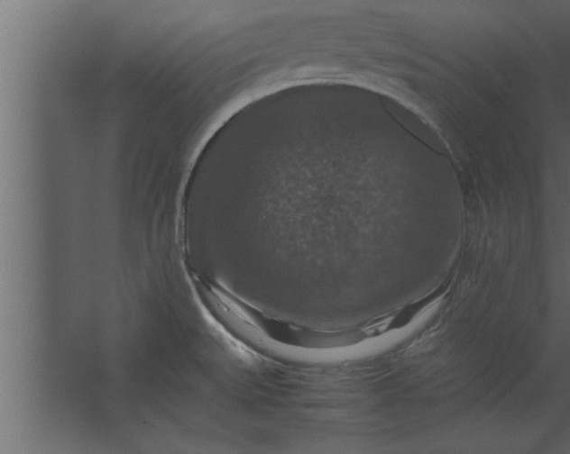 X0000067461527200604211528