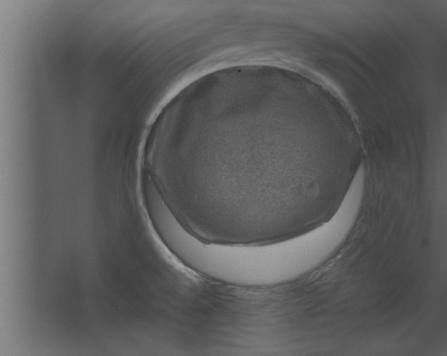 X0000067461528200604211528