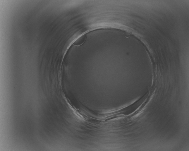 X0000067461529200604211528