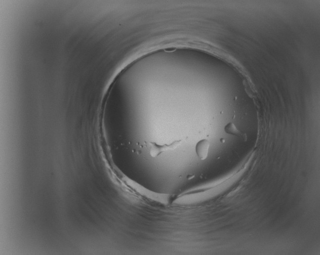 X0000067461530200604211528