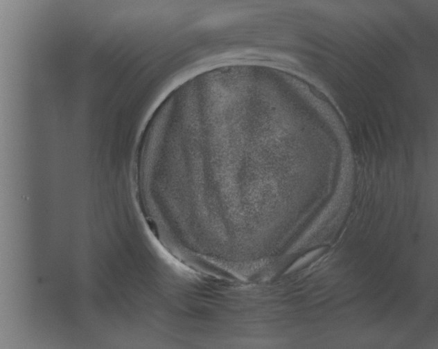 X0000067461531200604211528