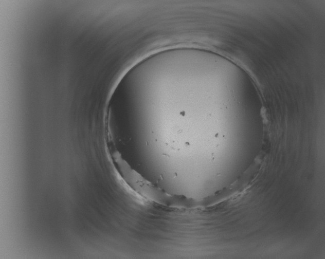 X0000067461532200604211528