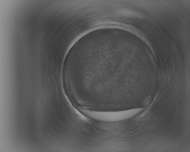 X0000067461533200604211528