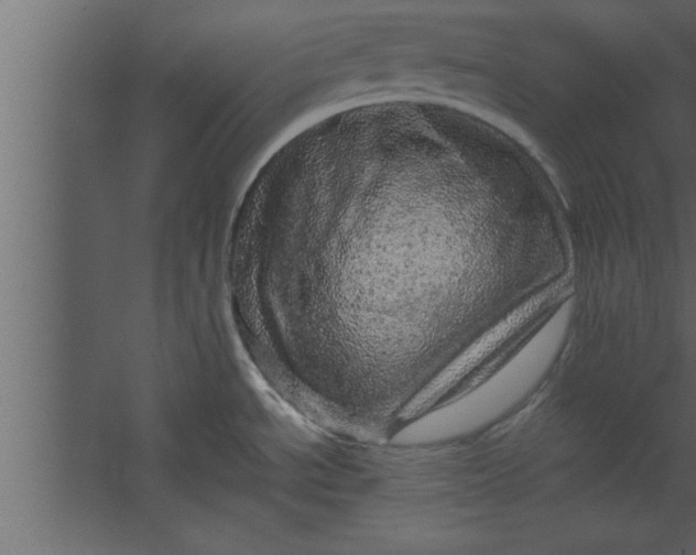 X0000067461534200604211528