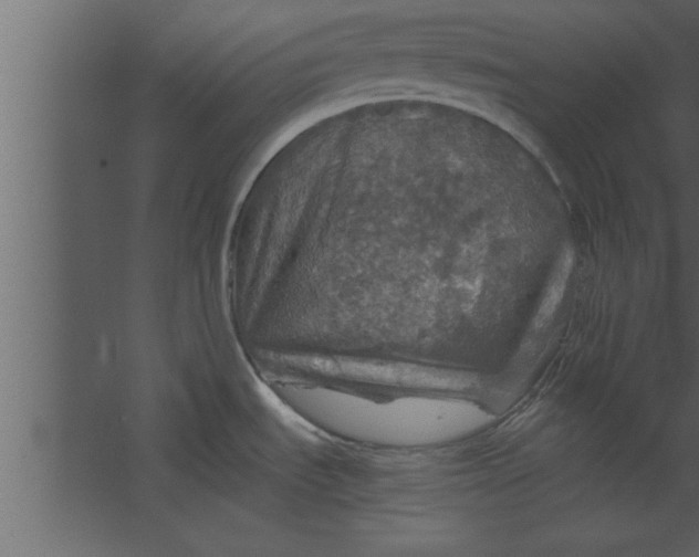 X0000067461535200604211528