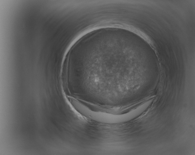 X0000067461536200604211528