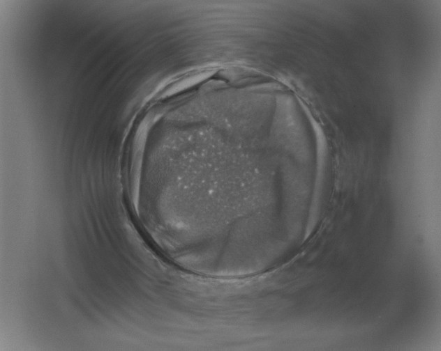 X0000067460002200604281840