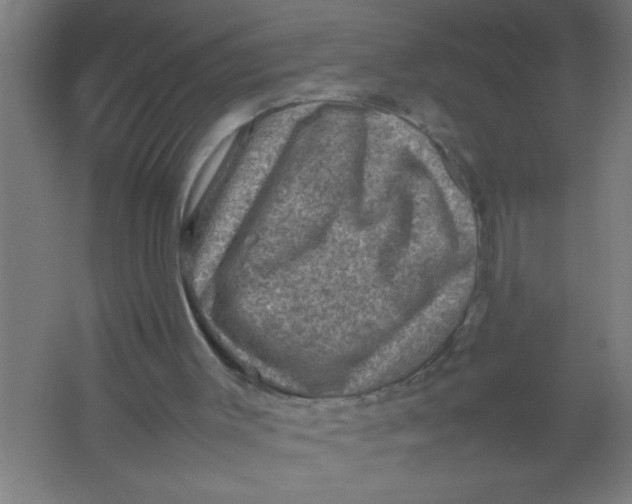 X0000067460003200604281840