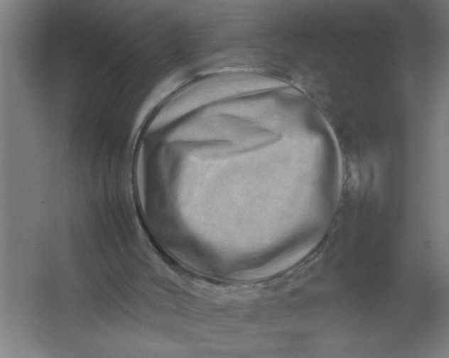 X0000067460004200604281840