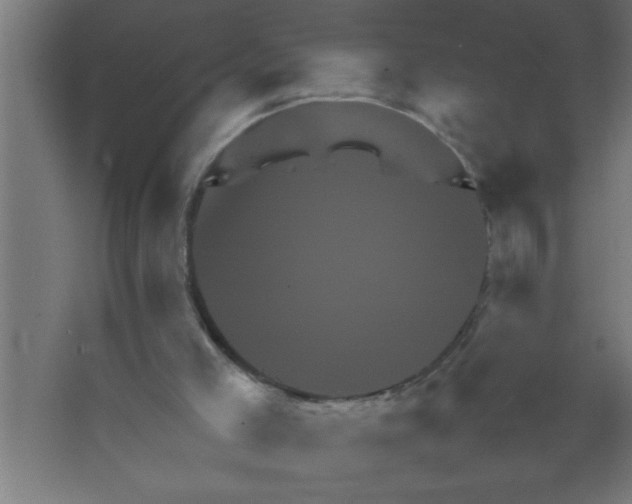 X0000067460005200604281840