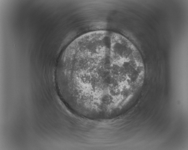 X0000067460010200604281840