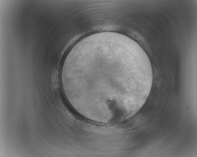 X0000067460012200604281840