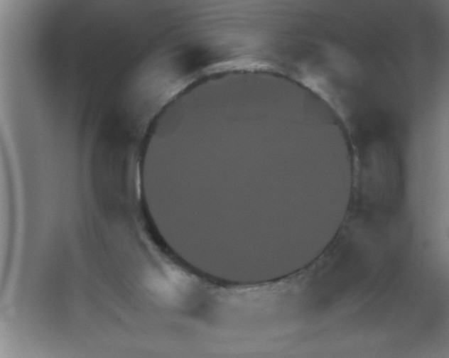 X0000067460013200604281840