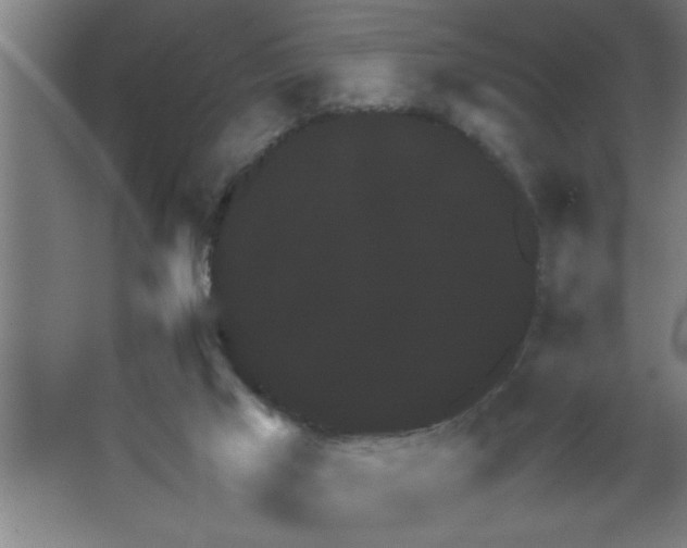 X0000067460017200604281840