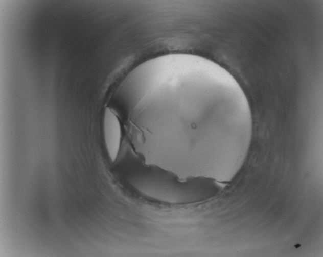 X0000067460019200604281840