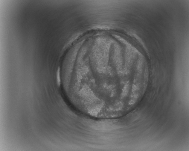 X0000067460020200604281840