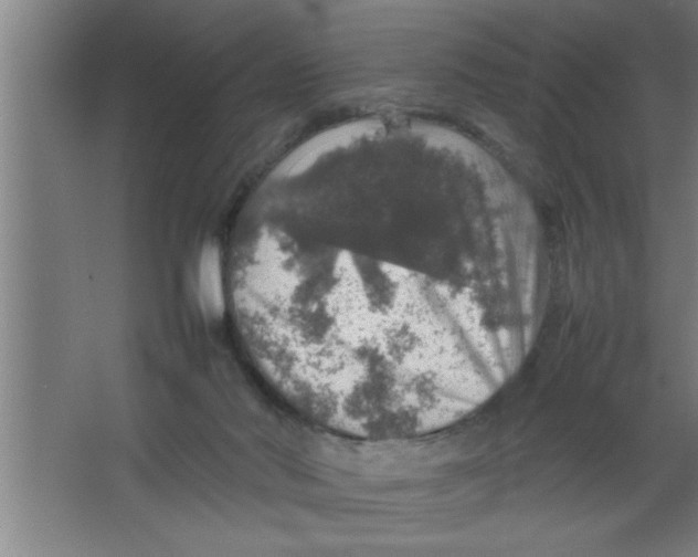 X0000067460022200604281840