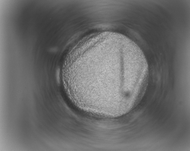 X0000067460024200604281840