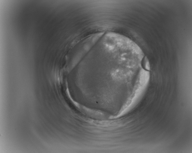 X0000067460026200604281840