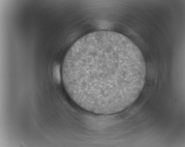 X0000067460028200604281840