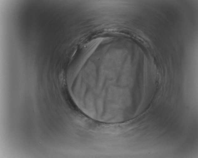 X0000067460029200604281840