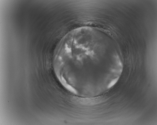 X0000067460030200604281840