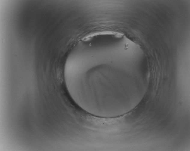 X0000067460031200604281840