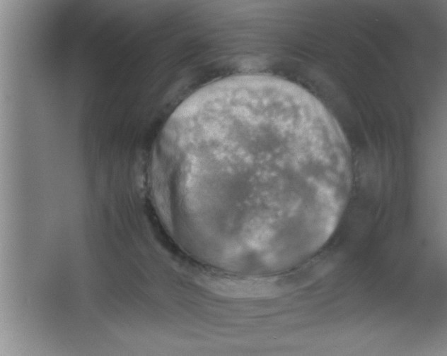 X0000067460032200604281840