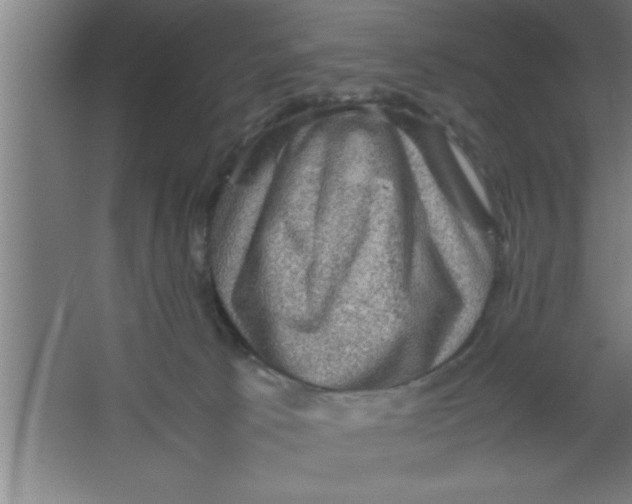 X0000067460033200604281840