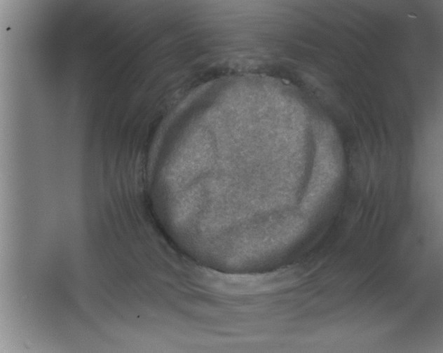 X0000067460034200604281840