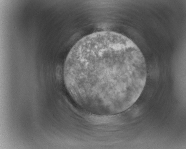 X0000067460036200604281840