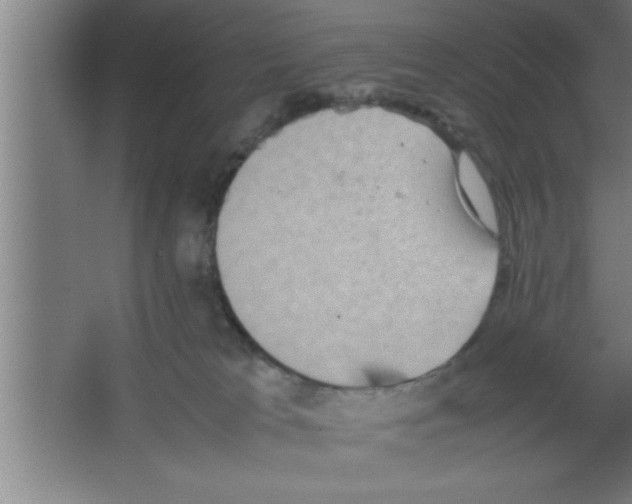 X0000067460037200604281840