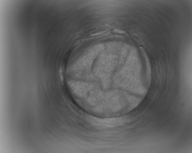 X0000067460038200604281839