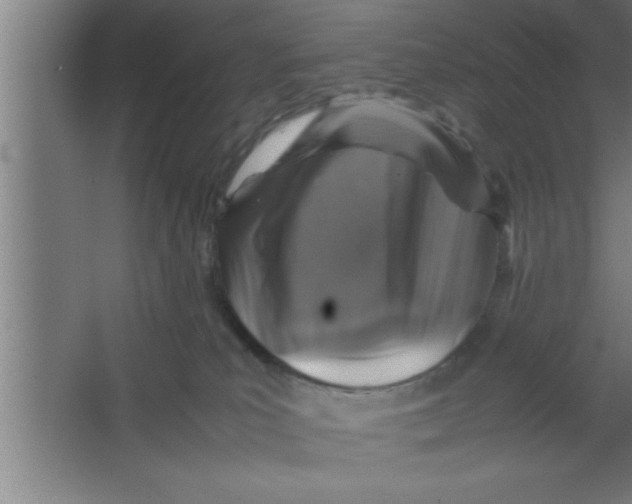 X0000067460039200604281839