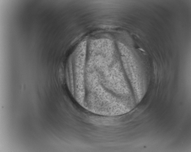 X0000067460040200604281839