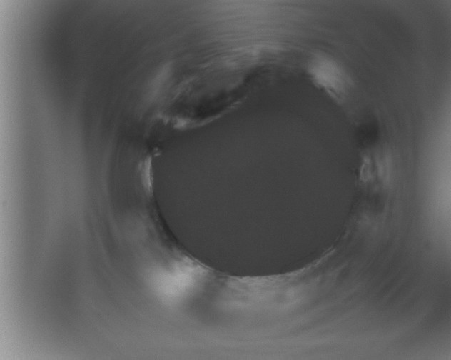 X0000067460041200604281839