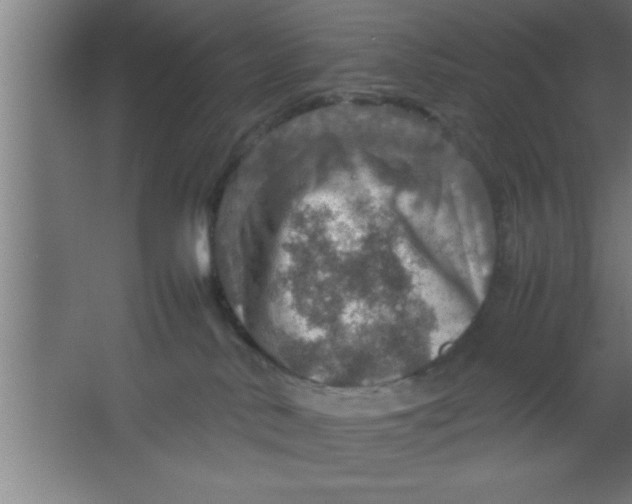 X0000067460042200604281839