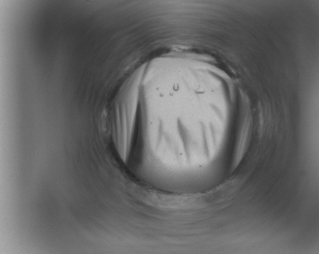 X0000067460044200604281839