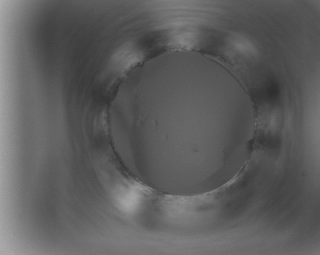 X0000067460045200604281839