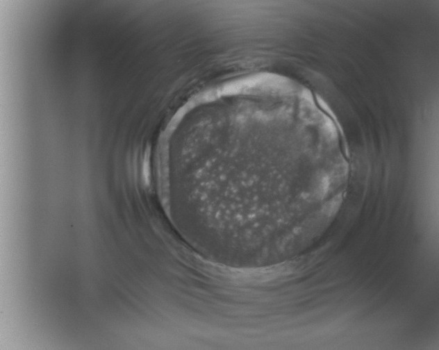 X0000067460046200604281839