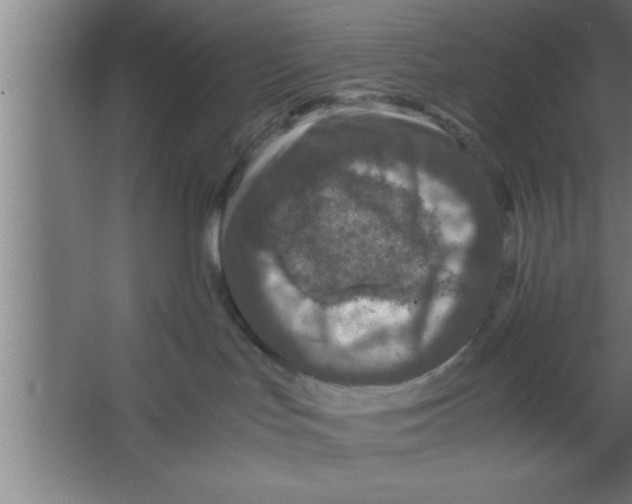 X0000067460047200604281839