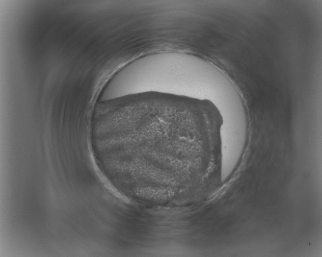 X0000067460049200604281839