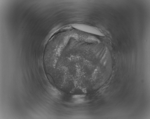 X0000067460051200604281839