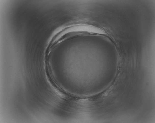 X0000067460054200604281839