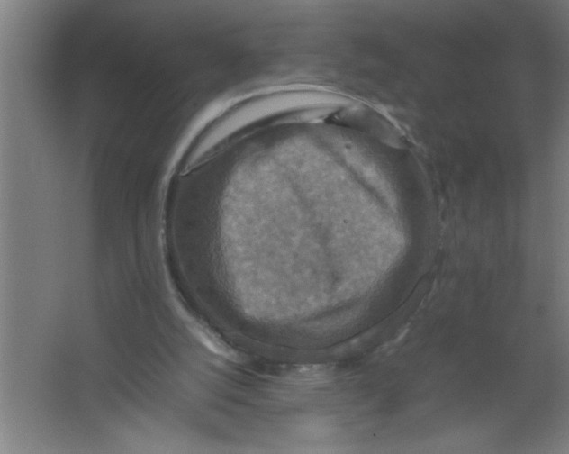 X0000067460056200604281839