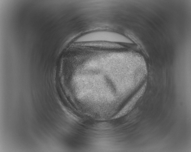 X0000067460058200604281839