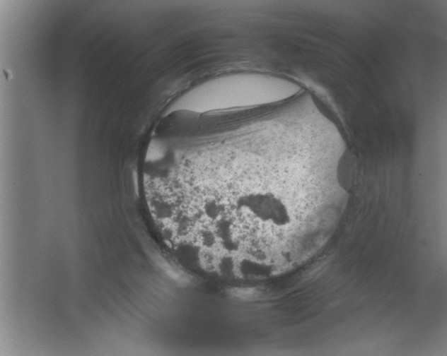 X0000067460061200604281839